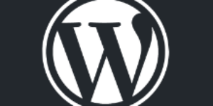 Plugin per il backup di un sito WordPress